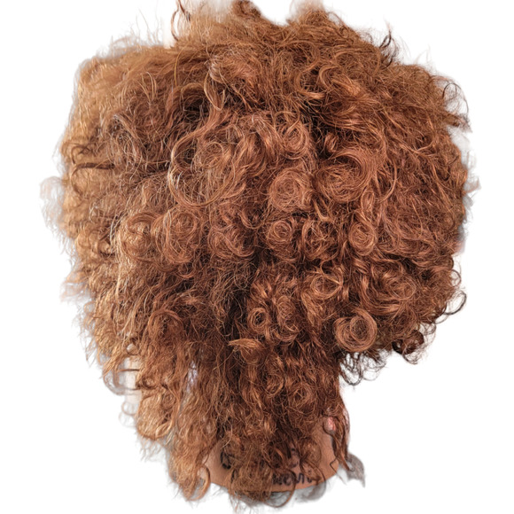 Mannequin Head Hairdressing Cosmetology 100% Human Hair Practice Training Doll - Picture 2 of 5